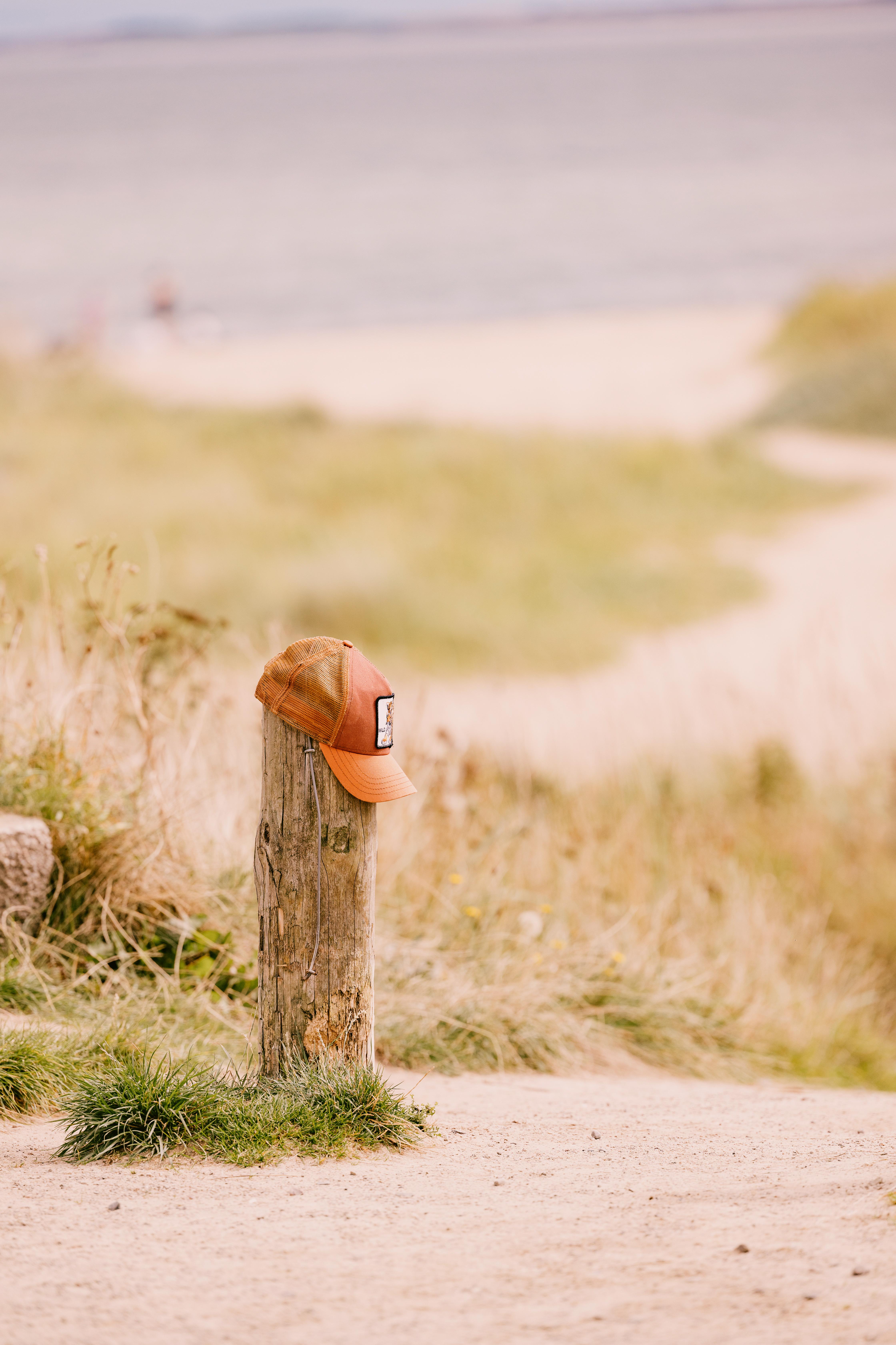 Dornoch Station Ξενοδοχείο Εξωτερικό φωτογραφία A hat on a fence post