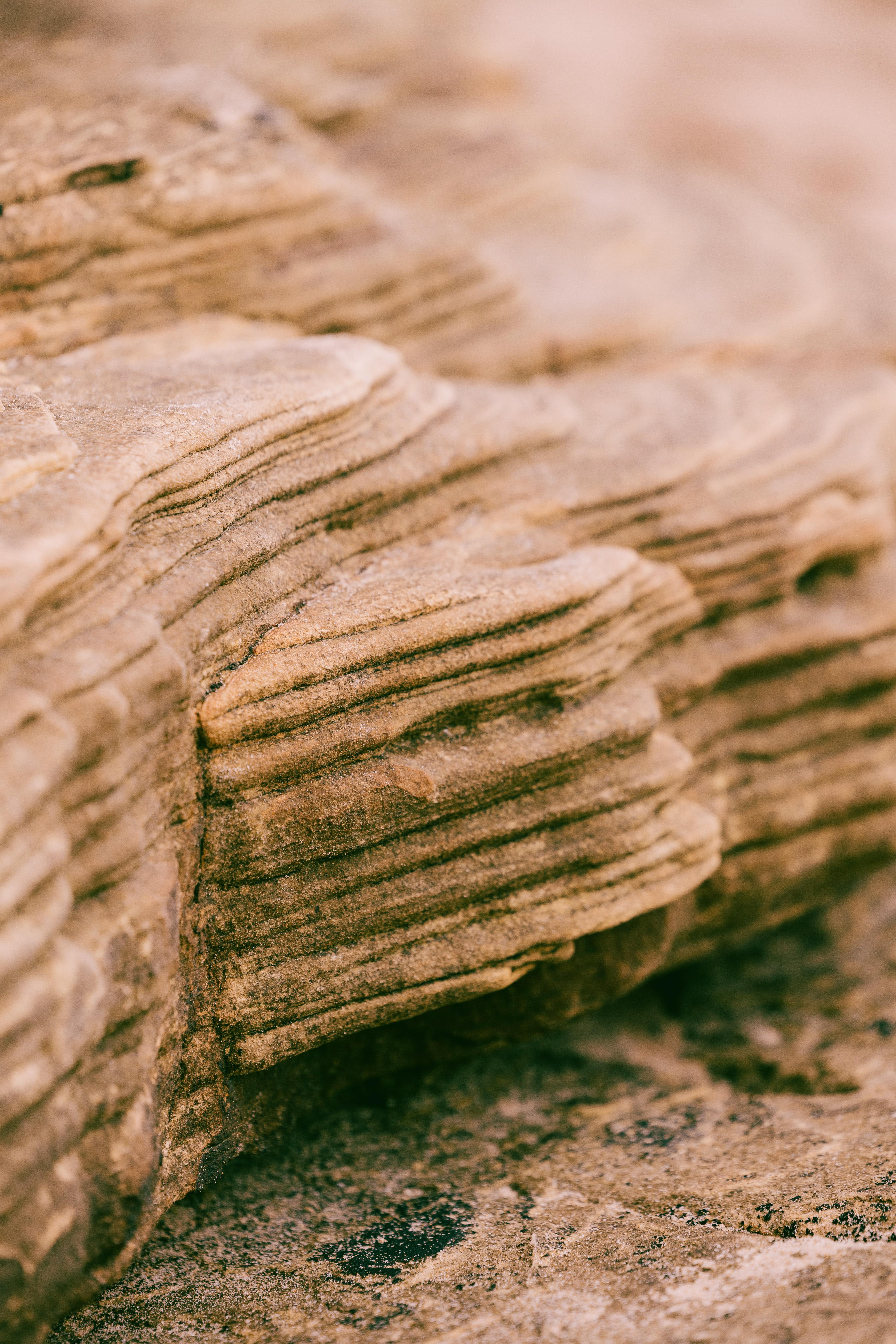 Dornoch Station Ξενοδοχείο Εξωτερικό φωτογραφία Detail of the rock